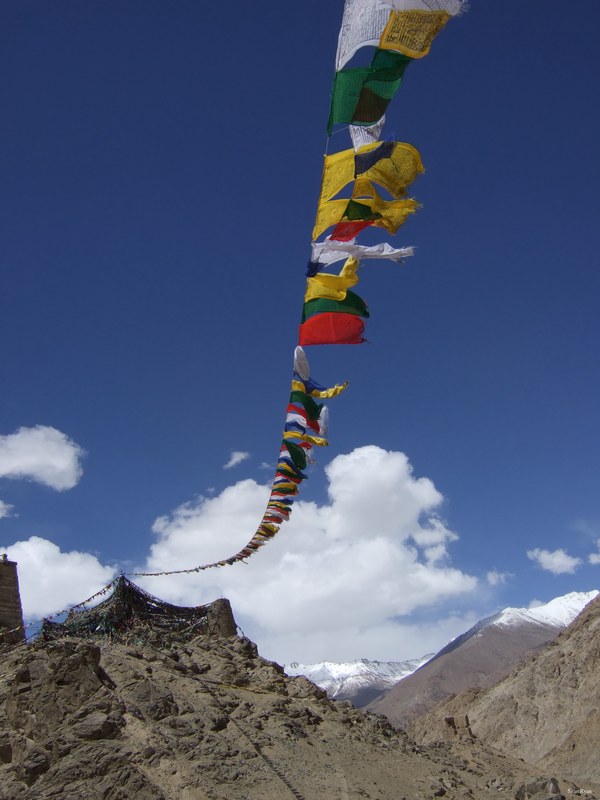 Ladakh-buddhism - DSCF6256