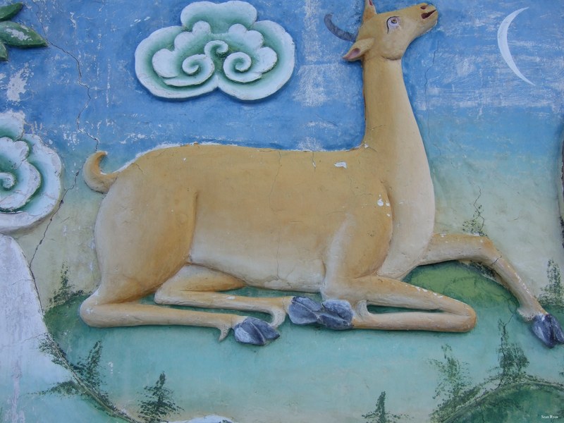Ladakh-buddhism - DSCF6366