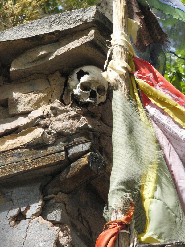 Ladakh-buddhism - P1110351