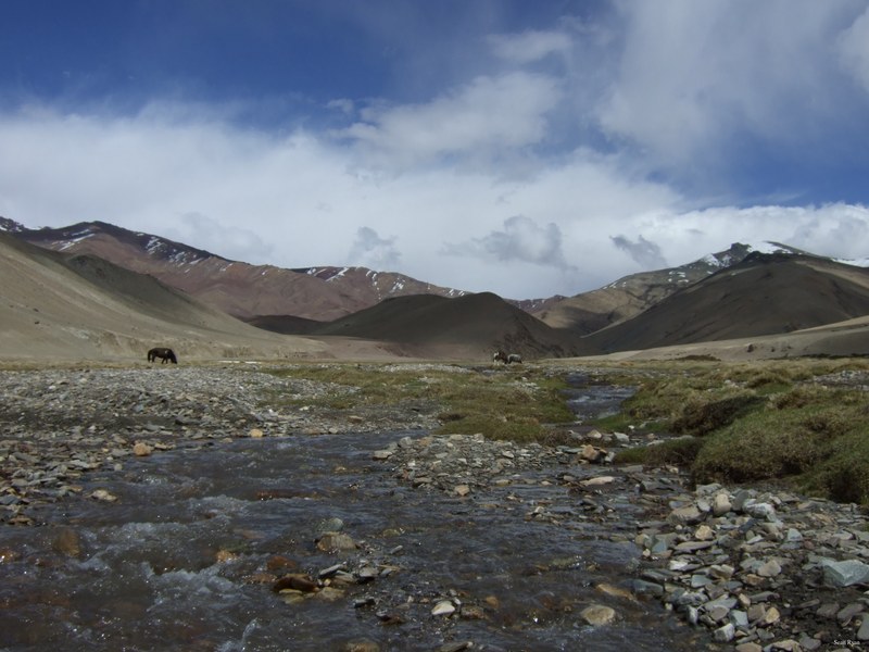 Ladakh-himalayas - DSCF6792