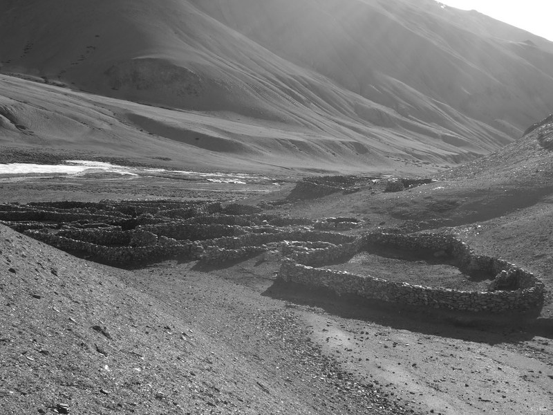 Ladakh-himalayas - DSCF6809