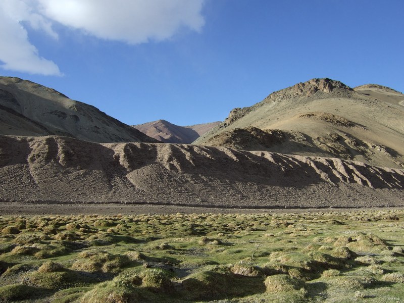 Ladakh-himalayas - DSCF6872