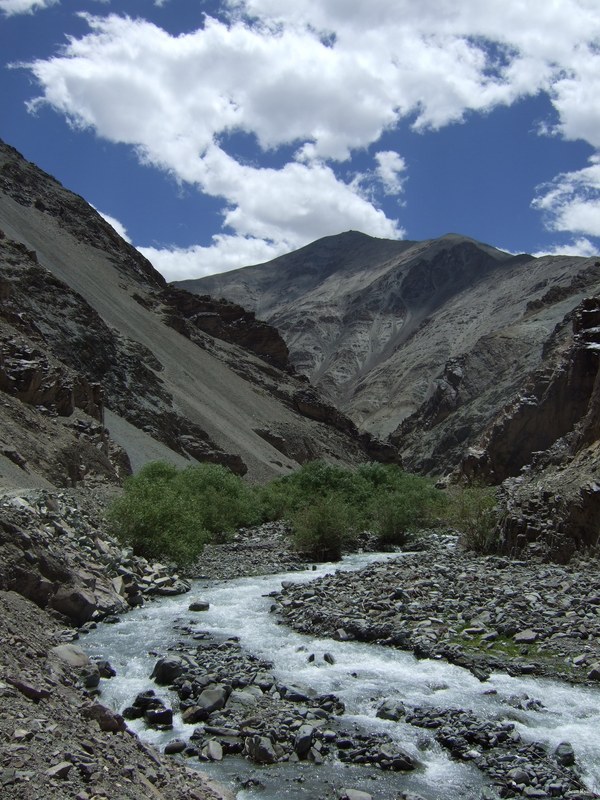 Ladakh-himalayas - DSCF7232