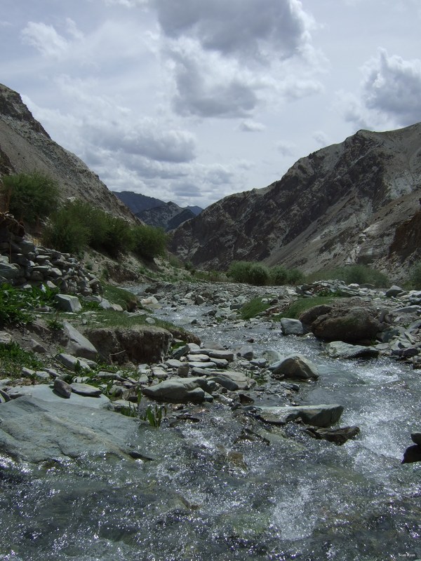 Ladakh-himalayas - DSCF7499