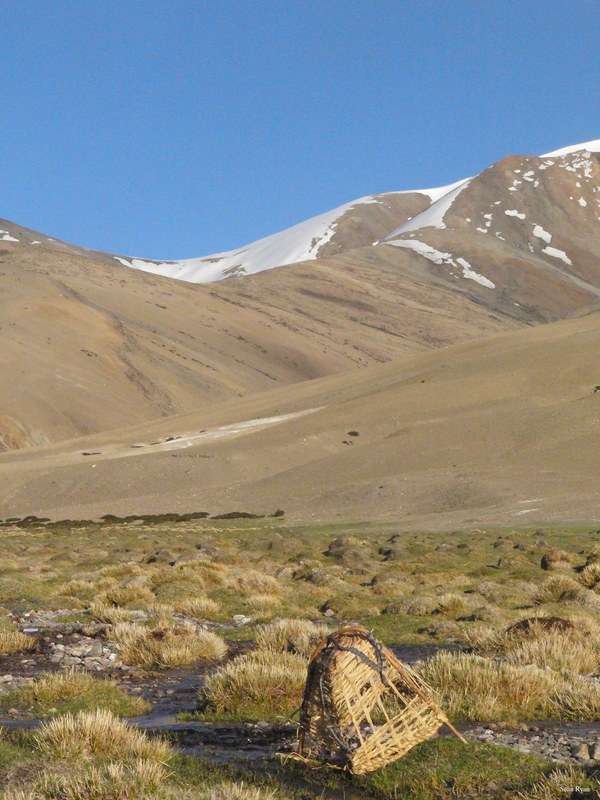 Ladakh-himalayas - P1100623