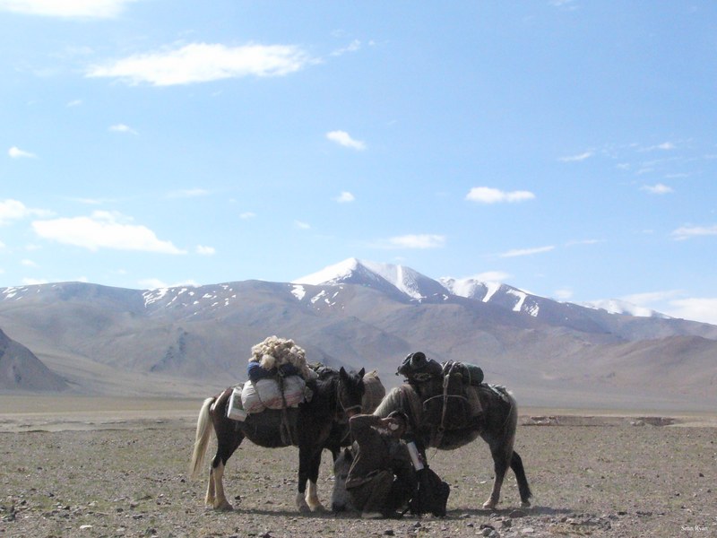 Ladakh-himalayas - P1100741