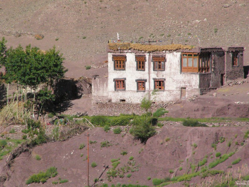 Ladakh-himalayas - P1110162