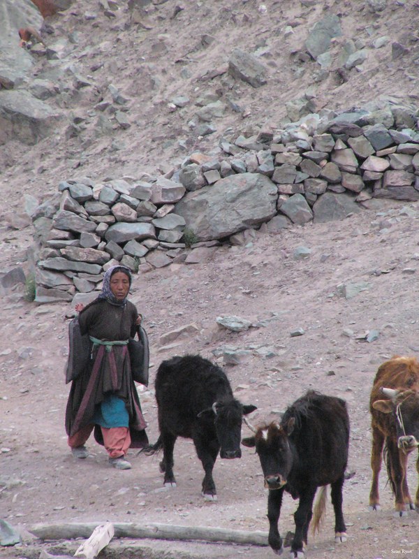 Ladakh-local-people - P1110059