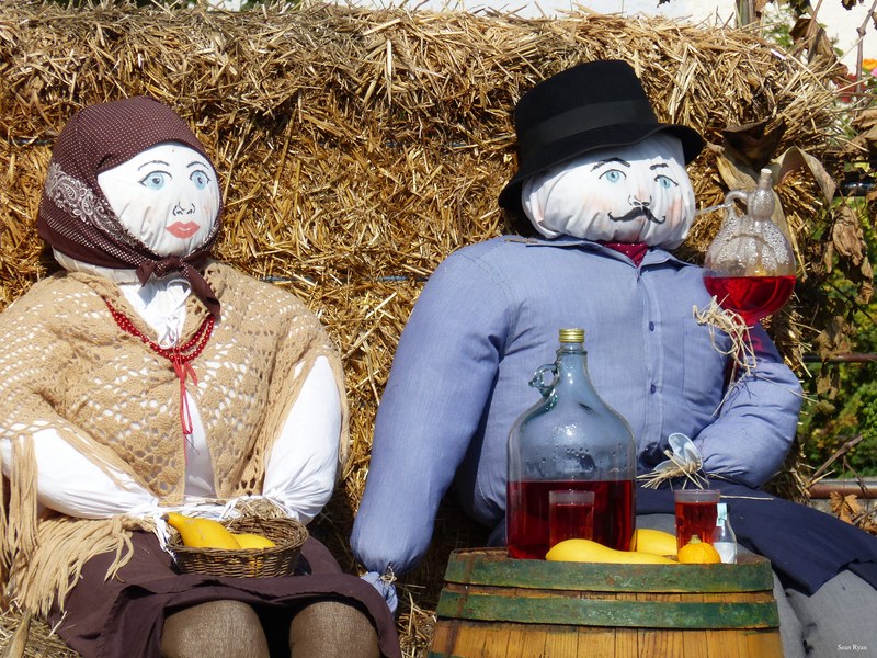 Puppets And Scarecrows By The Danube - 09-plant_scarecrow-2.9Mb-2560x1920--P1150098