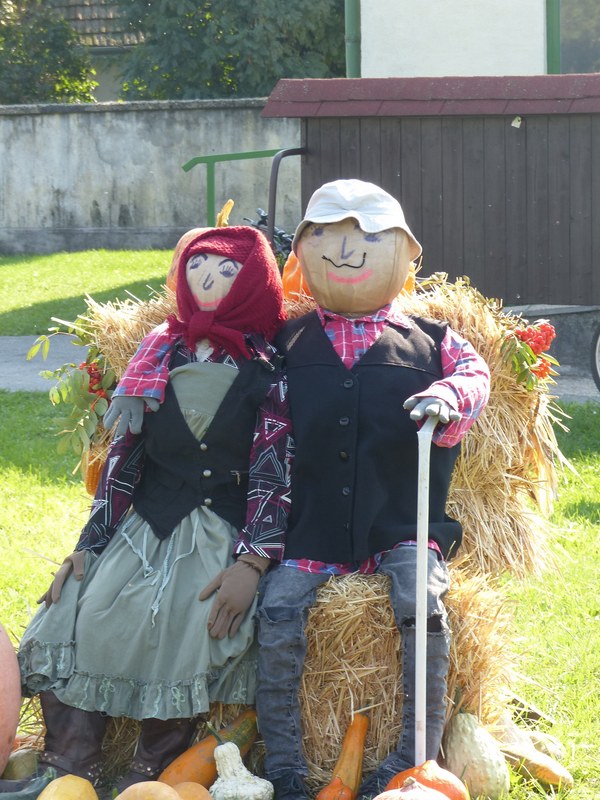 Puppets And Scarecrows By The Danube - 11-scarecrow_plant_grass-2.8Mb-2560x1920--P1150091