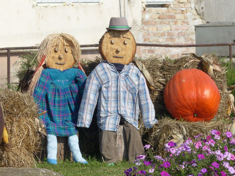Puppets And Scarecrows By The Danube - 12-plant_child_pumpkin-2.8Mb-2560x1920--P1150097