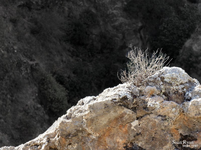 Cahorros Hike - Granada Cliffs - P1190947.good_.editted