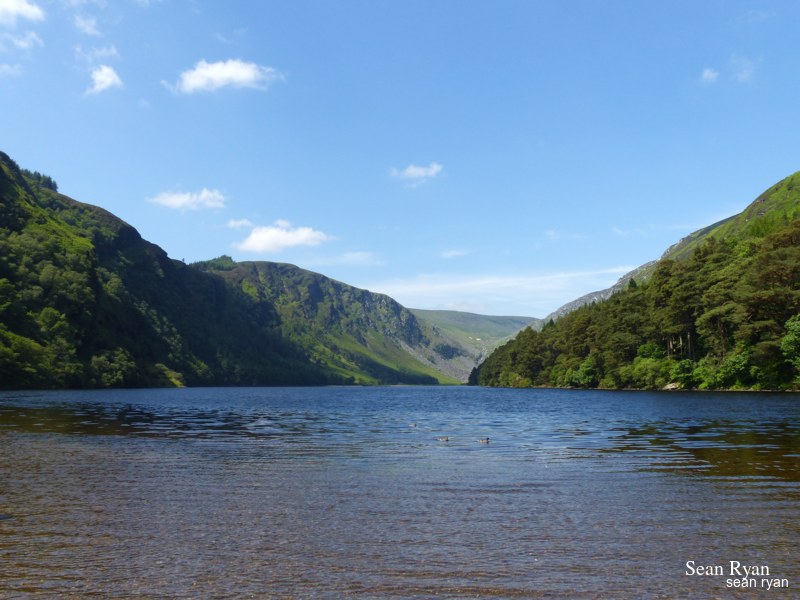 2021 - Glendalough In Summer - 07-P1190423.editted