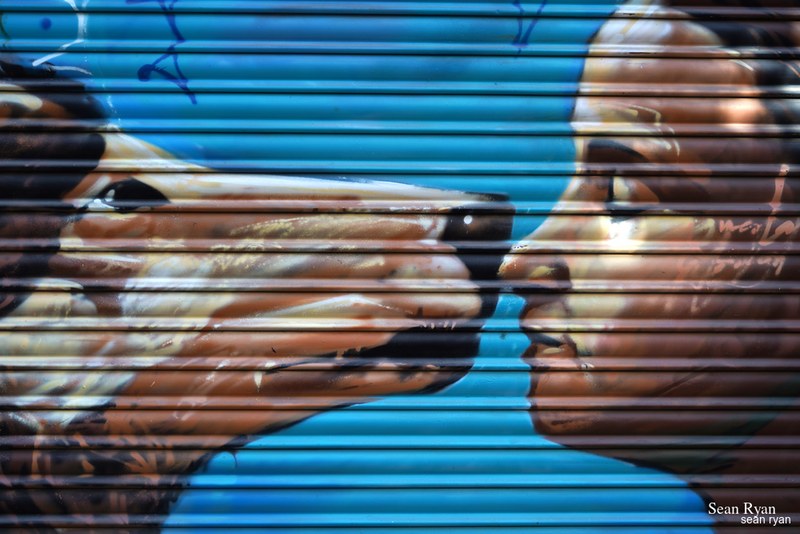 Graffiti Art Of Granada - SA704623.editted