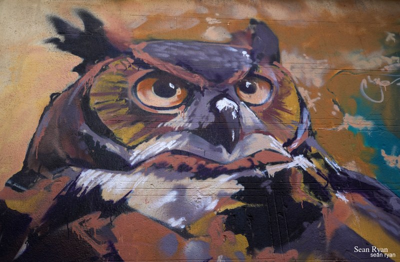 Graffiti Art Of Granada - SA704659.owl_.editted.2