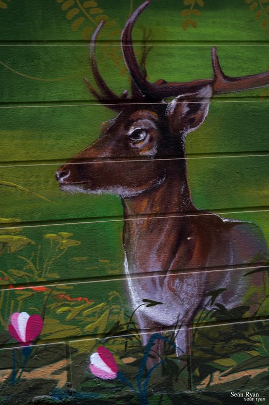 Graffiti Art Of Granada - SA704667.editted