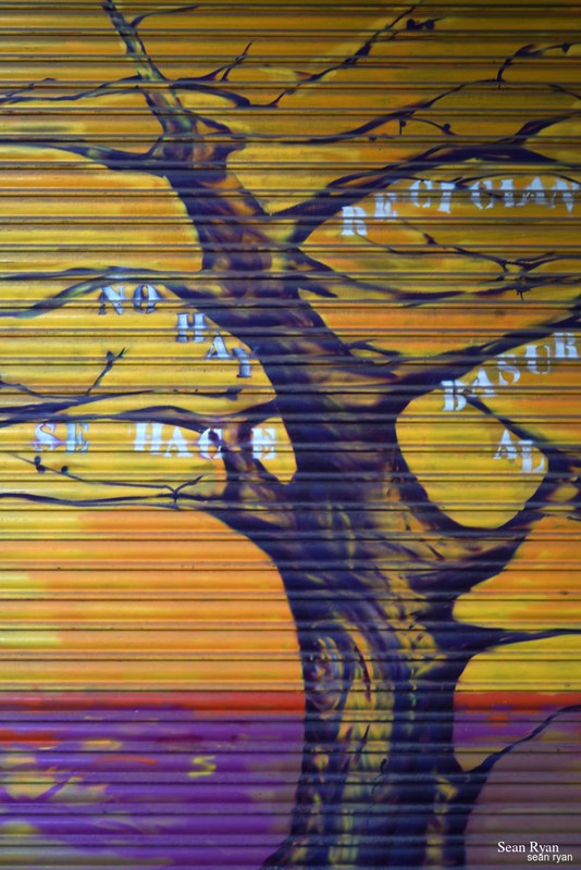Graffiti Art Of Granada - SA704672.editted