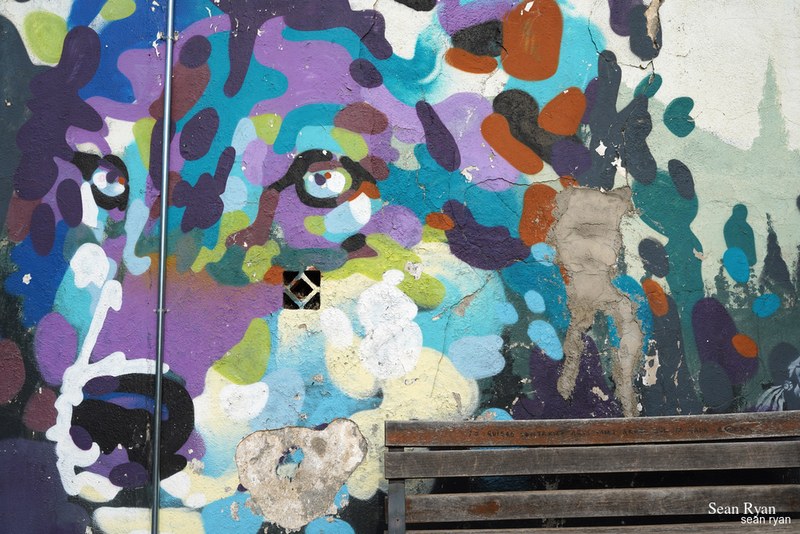 Graffiti Art Of Granada - SA704698.editted