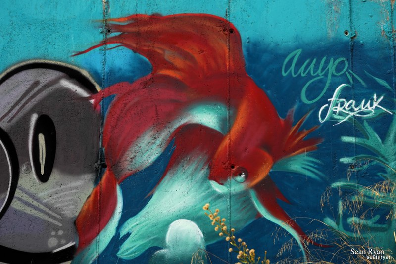 Graffiti Art Of Granada - SA704745.editted
