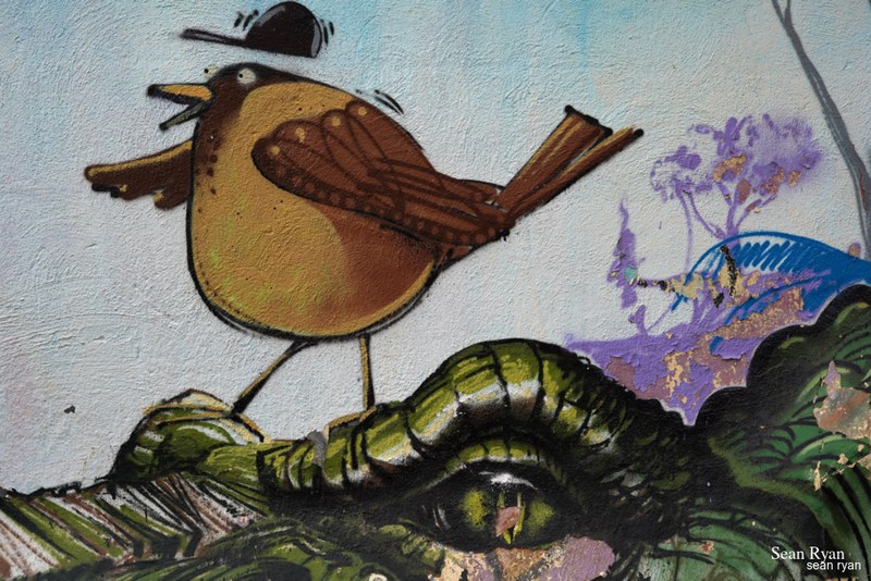 Graffiti Art Of Granada - SA704761.editted
