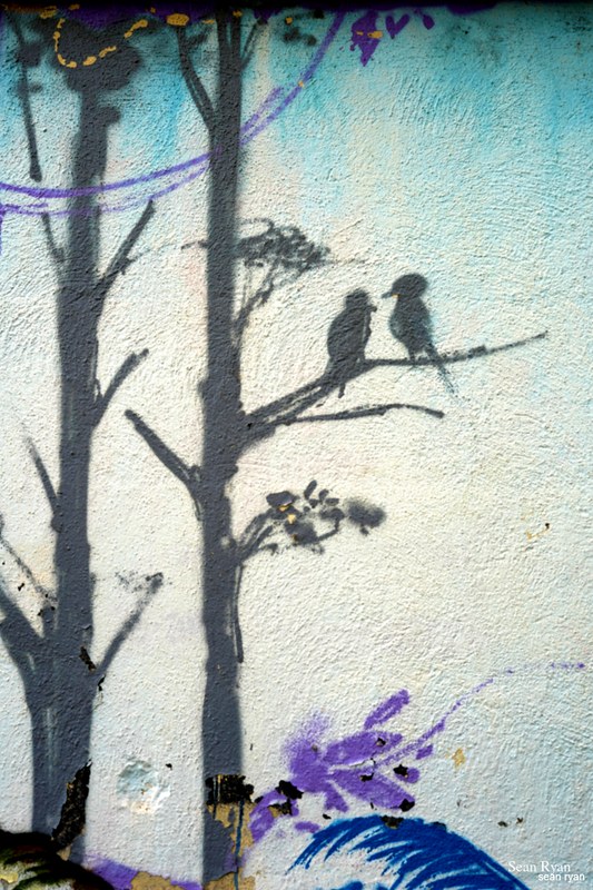 Graffiti Art Of Granada - SA704763.editted-1