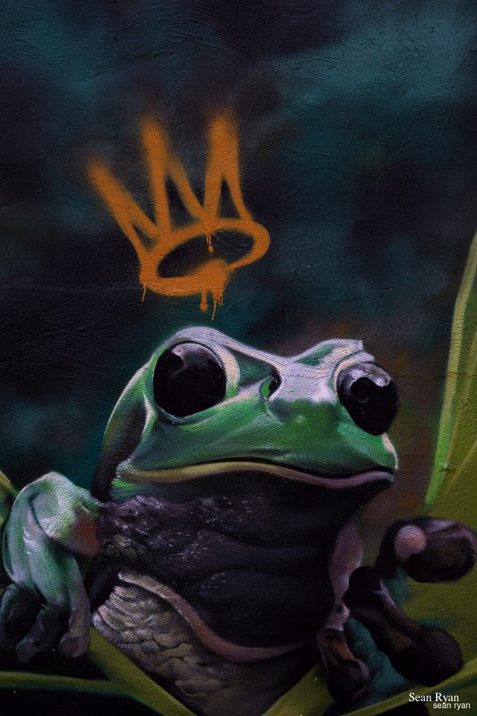 Graffiti Art Of Granada - SA704772.editted