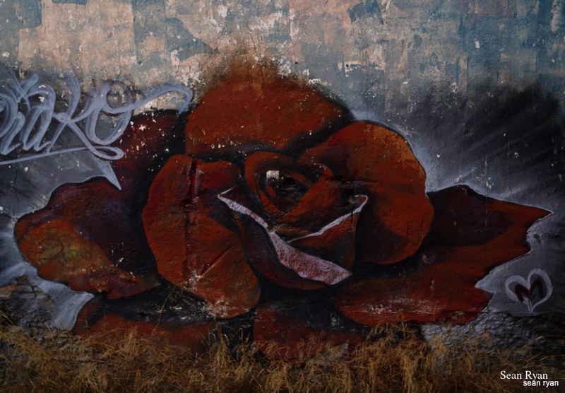 Graffiti Art Of Granada - SA704786.editted-1