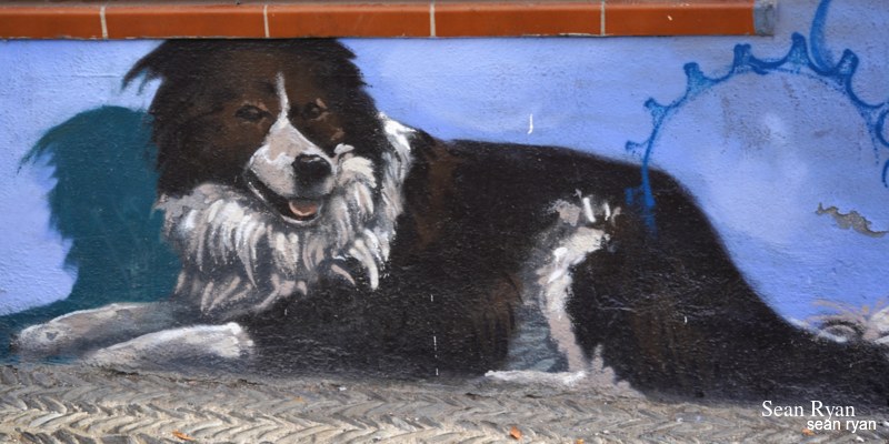 Graffiti Art Of Granada - Original Work - SA704643.editted