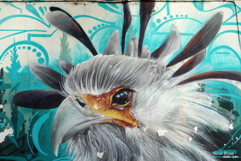 Graffiti Art Of Granada - Original Work - SA704700.editted-1