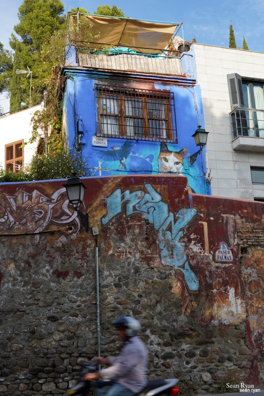 Graffiti Art Of Granada - Original Work - SA704719.editted