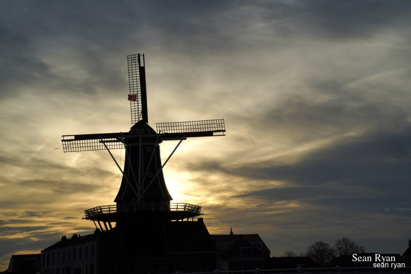 The Ferry Windmills Of Haarlem - Every Day Photos