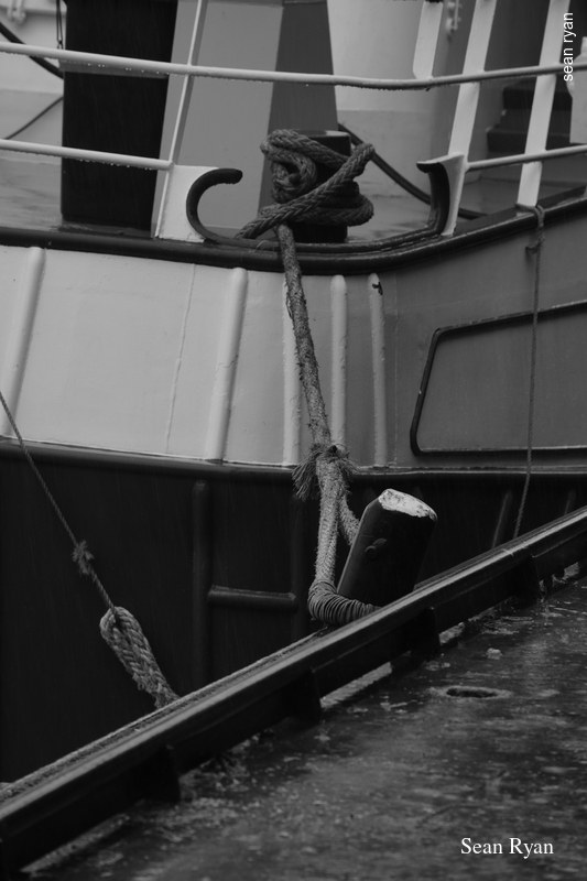 2022 - Black And White Sculptures At Beelden-aan-zee - Scheveningen - SA705298.ok_.select.best_-1
