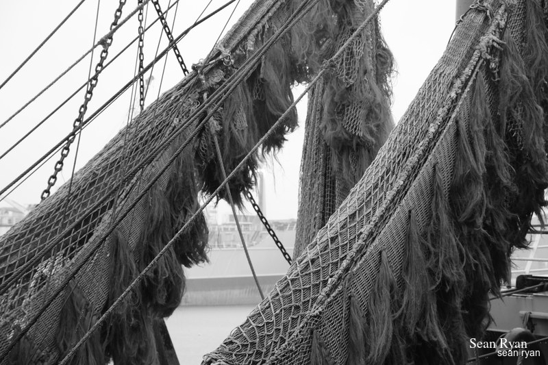 2022 - Black And White Sculptures At Beelden-aan-zee - Scheveningen - SA705300.ok_.select.best_-1