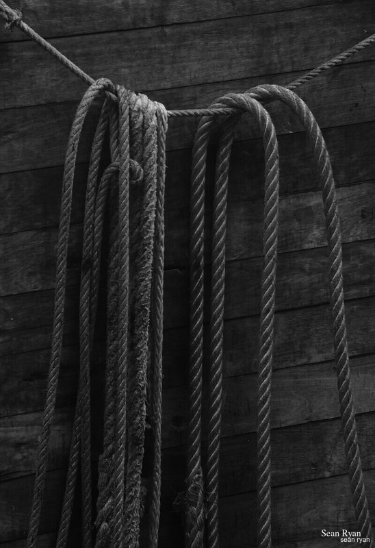 2022 - Black And White Sculptures At Beelden-aan-zee - Scheveningen - SA705303.ok_.select.best_.cropped-1