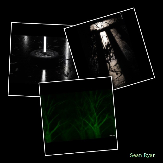 Winterlicht Mid Winter Trees And Fire - 2022 - Every Day Photos