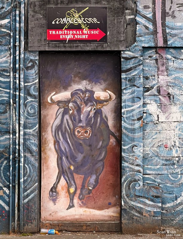 2022 - Dublin Street Art - 2022-03-31-11.41.26.editted-1