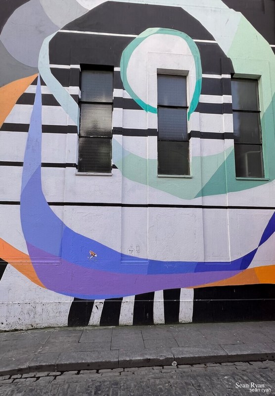 2022 - Dublin Street Art - 2022-03-31-13.33.08.cropped-1