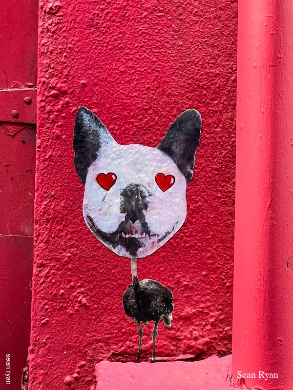 2022 - Dublin Street Art - 2022-03-31-13.35.25-1