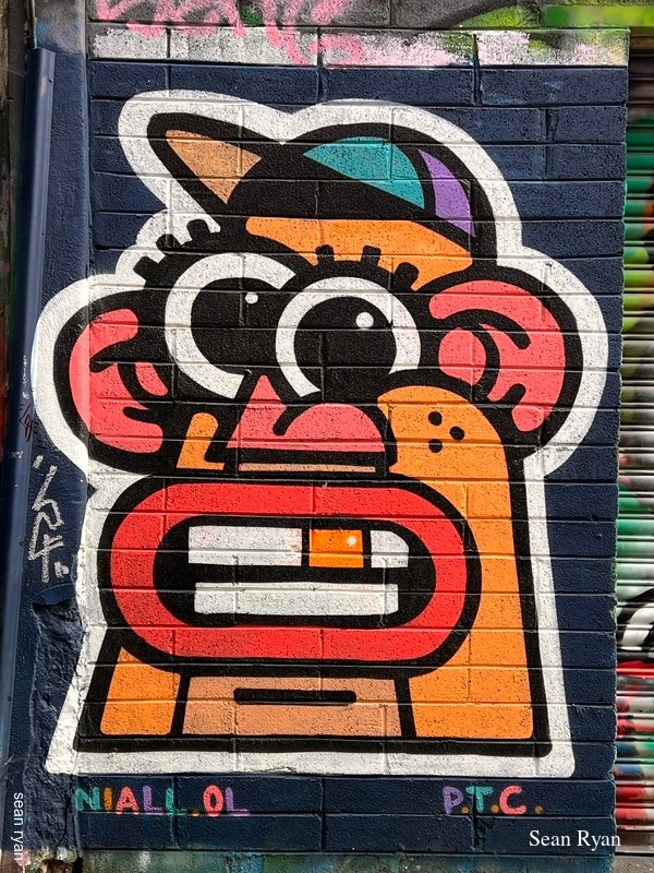 2022 - Dublin Street Art - 2022-03-31-14.20.43-1