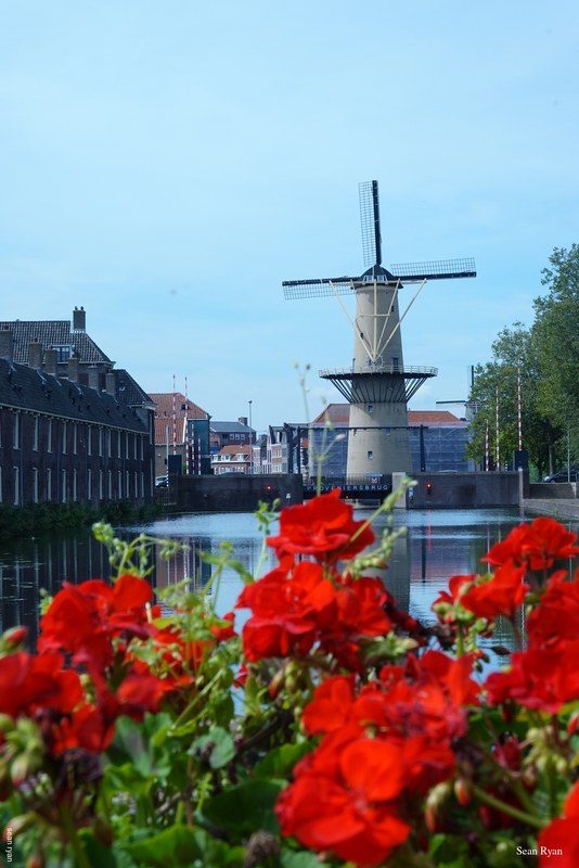 2023-09 - Schiedam Photo Walk - Dutch Boats Bridges And Windmills - RX105359.windmill_c1