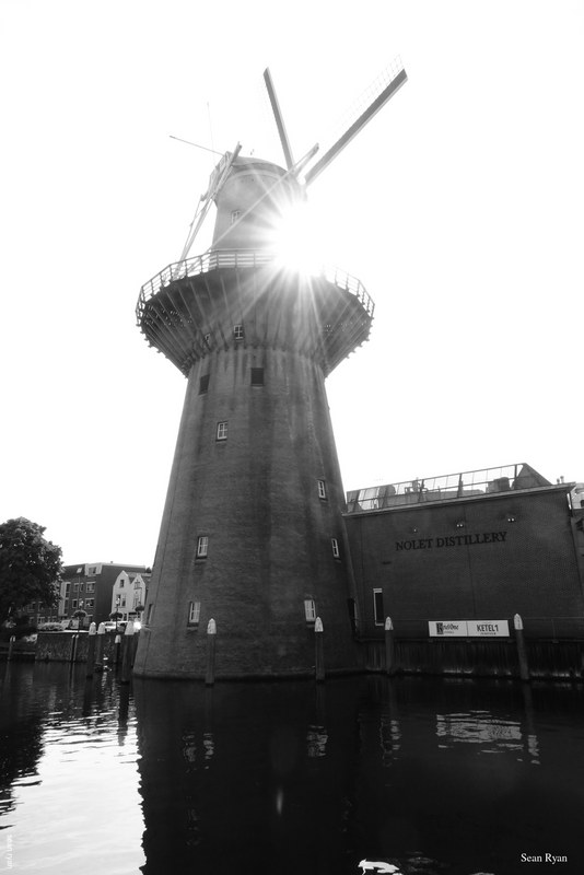 2023-09 - Schiedam Photo Walk - Dutch Boats Bridges And Windmills - RX105544.ok_.almost-good