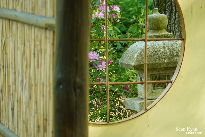 Japanese Garden - Spring And Summer - 2023 - Every Day Photos