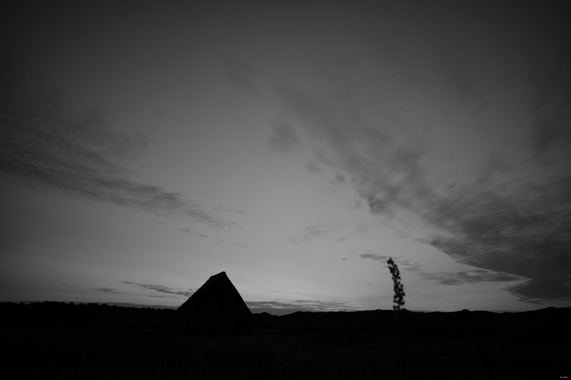 2024-07 - Star And Night Skies At Texel - Netherlands - SA702842.edit