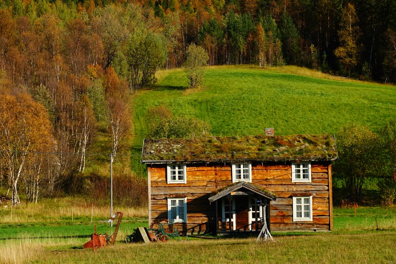 Buildings And Old Sheds Of Norway - RX100086
