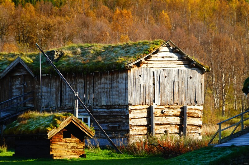 Buildings And Old Sheds Of Norway - RX100088