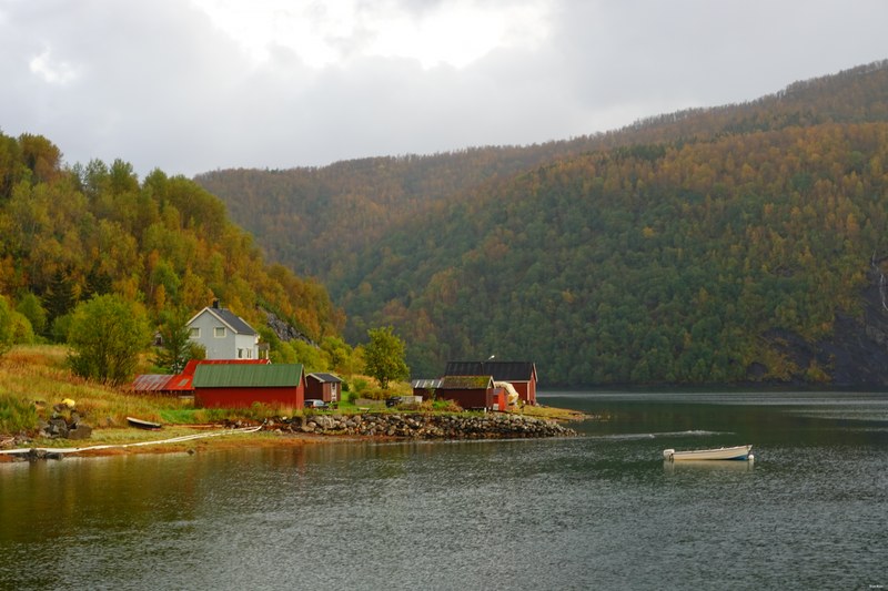 Buildings And Old Sheds Of Norway - RX100116