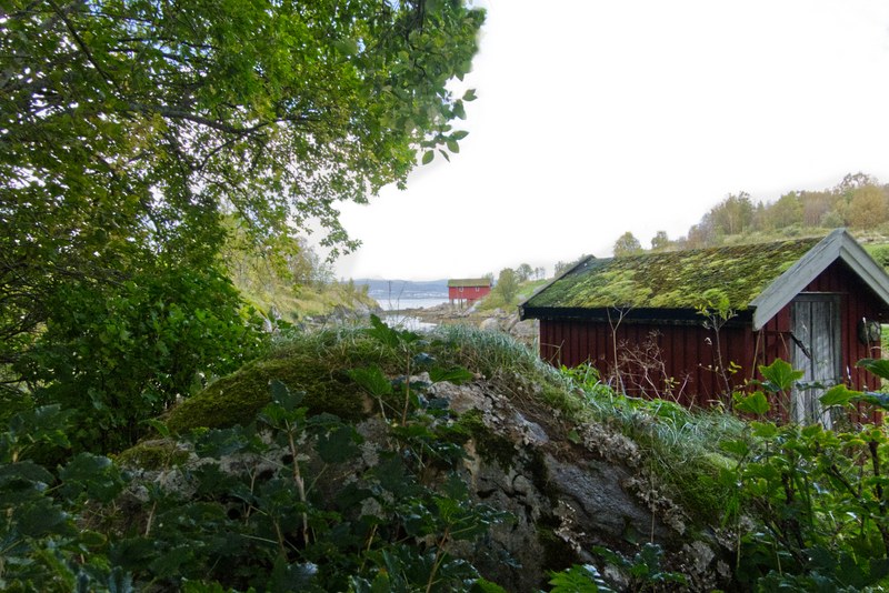 Buildings And Old Sheds Of Norway - RX108200.editted