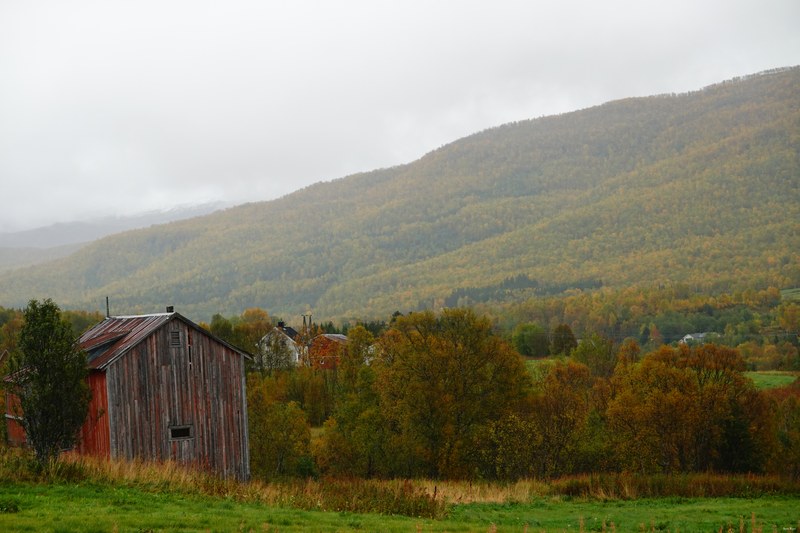 Buildings And Old Sheds Of Norway - RX109472