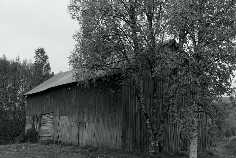 Buildings And Old Sheds Of Norway - RX109488.bw.editted
