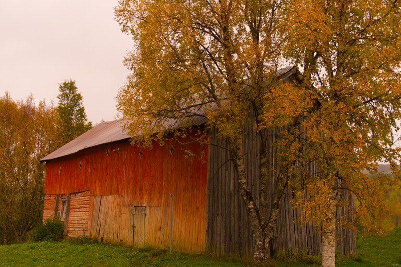 Buildings And Old Sheds Of Norway - RX109488.editted